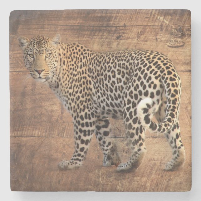 Posavasos De Piedra Leopardo (Anverso)