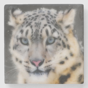 Posavasos De Piedra Leopardo de la nieve