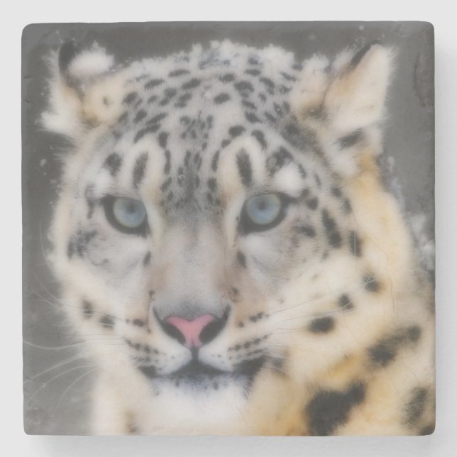 Posavasos De Piedra Leopardo de la nieve (Anverso)