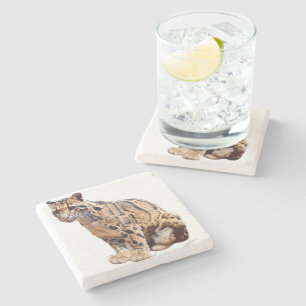 Posavasos De Piedra leopardo nublado fotografía selva gran gato animal