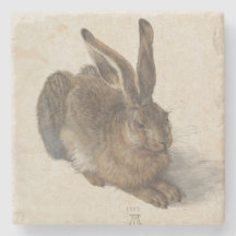 Liebres jovenes de Albrecht Durer