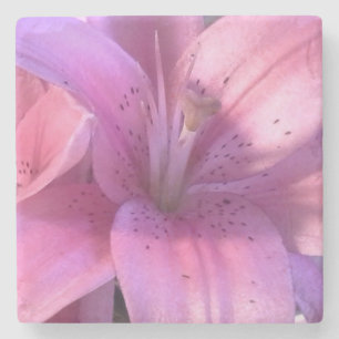 Posavasos De Piedra Lily Coasters