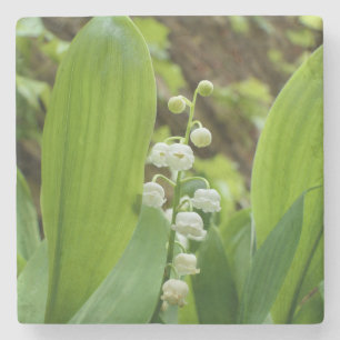 Posavasos De Piedra Lily del Valle