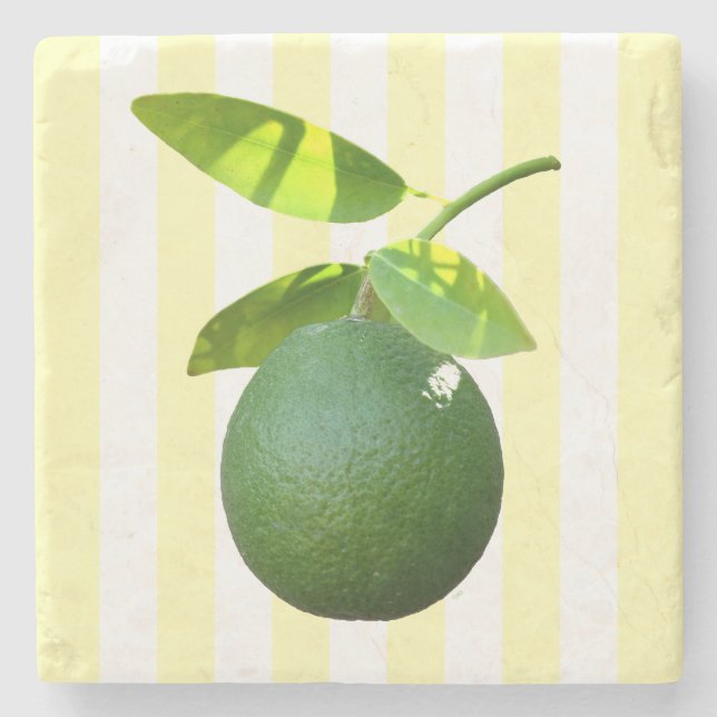 Posavasos De Piedra Lime Stone Coaster (Anverso)