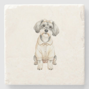 Posavasos De Piedra Lindo perro schnauzer de orejas largas
