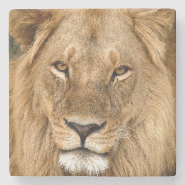 Posavasos De Piedra Lion With Great Mane (Anverso)