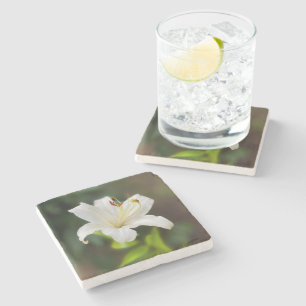 Posavasos De Piedra Lirio blanco brillante