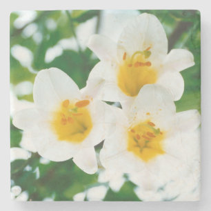 Posavasos De Piedra Lirios blancos - Símbolo de amor