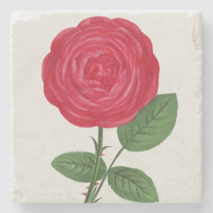 Posavasos De Piedra Litografía de rosa antigua, François-Frédéric Grob