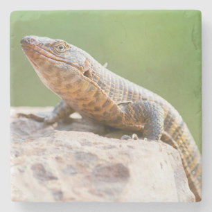 Posavasos De Piedra Lizard colocado