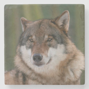Posavasos De Piedra Lobo
