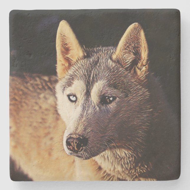 Posavasos De Piedra lobo animal de smartmix (Anverso)
