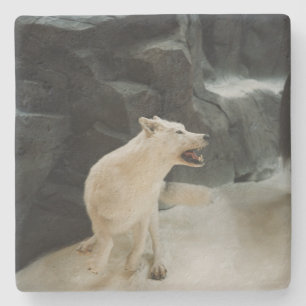 Posavasos De Piedra Lobo blanco