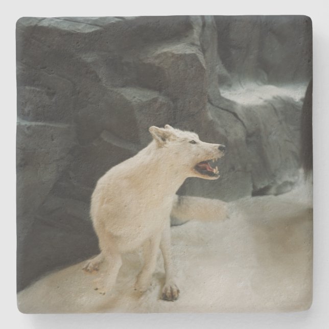 Posavasos De Piedra Lobo blanco (Anverso)