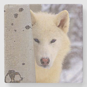 Posavasos De Piedra Lobo blanco