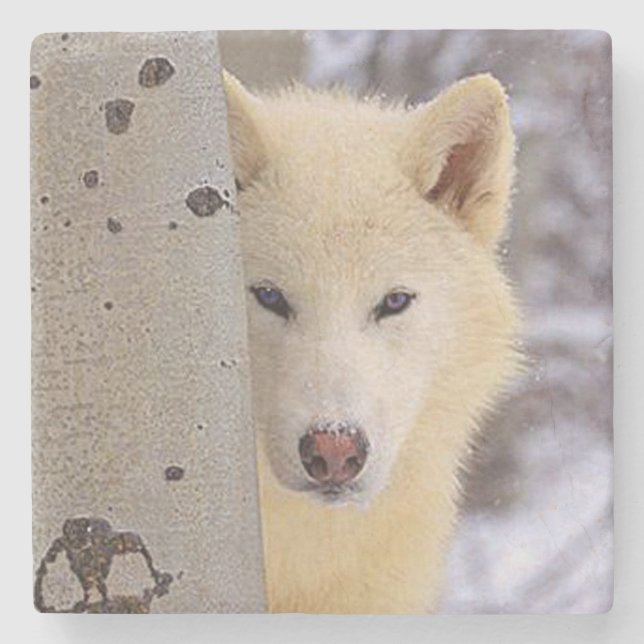 Posavasos De Piedra Lobo blanco (Anverso)
