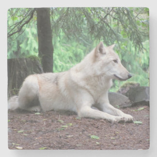 Posavasos De Piedra Lobo blanco norteamericano