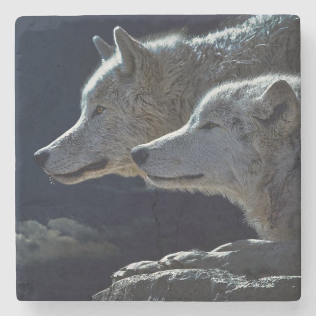 Posavasos De Piedra Lobos (Anverso)