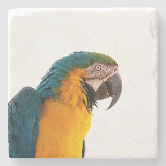 Posavasos De Piedra Loro  (Anverso)