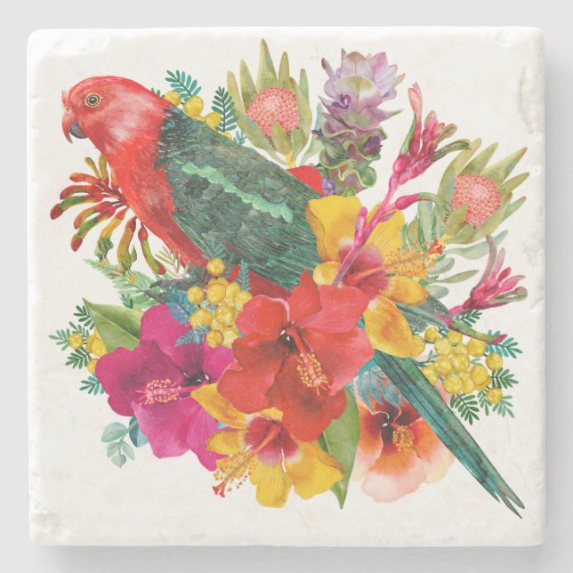 Posavasos De Piedra Loro Rey Tropical (Anverso)