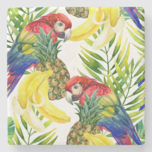 Posavasos De Piedra Loros y fruta tropical