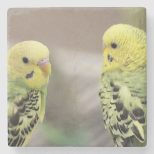 Posavasos De Piedra Los chicas