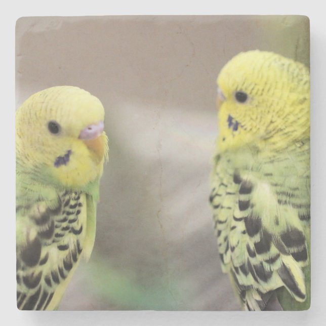 Posavasos De Piedra Los chicas (Anverso)