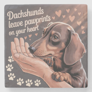 Posavasos De Piedra Los Dachshunds Dejan Huellas en Tu Corazón