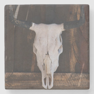 Posavasos De Piedra Los E.E.U.U., Arizona. Cráneo en una pared de la