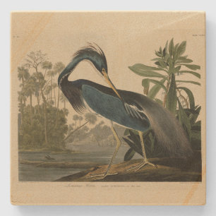 Posavasos De Piedra Louisiana Heron - de los pájaros de Estados Unidos