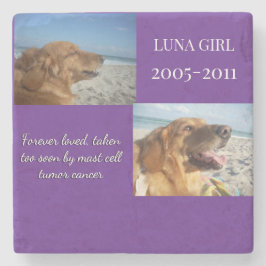 Posavasos De Piedra Love Echoes Through Time