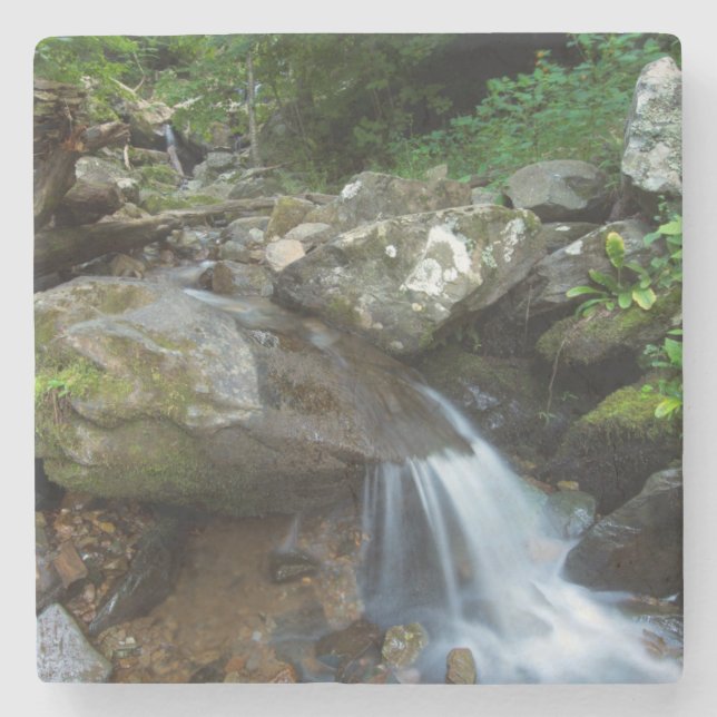 Posavasos De Piedra Lower Dark Hollow Falls, Shenandoah (Anverso)