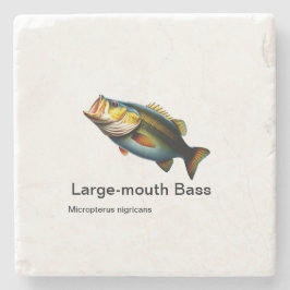 Posavasos De Piedra lubina de gran tamaño recubierta de mármol