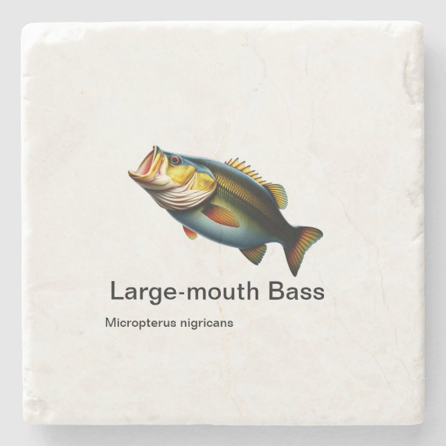 Posavasos De Piedra lubina de gran tamaño recubierta de mármol (Anverso)