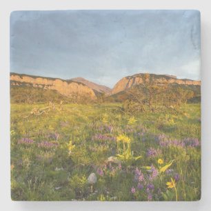 Posavasos De Piedra Luces del amanecer Blackleaf Canyon