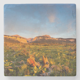 Posavasos De Piedra Luces del amanecer Blackleaf Canyon 2