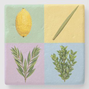 Posavasos De Piedra Lulav 4 especies pop-art