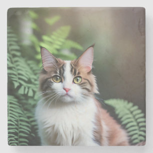 Posavasos De Piedra Lulu El Gato Ragdoll, Pascua De Piedra