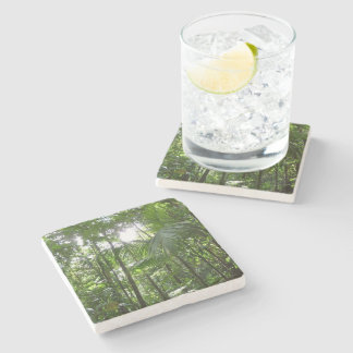 Posavasos De Piedra Luz solar a través de la selva tropical con cubier