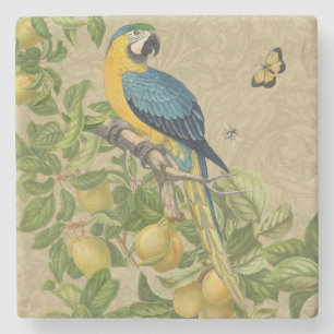 Posavasos De Piedra Macaw Blue Yellow Tropical Jungle Antigüedad
