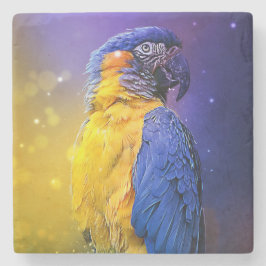 Posavasos De Piedra Macaw Parrot