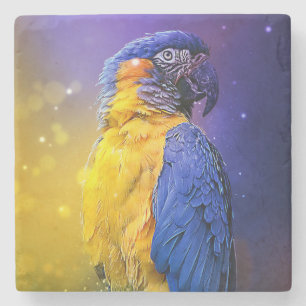 Posavasos De Piedra Macaw Parrot