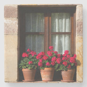Posavasos De Piedra Macetas de flores en la ventana en el pueblo