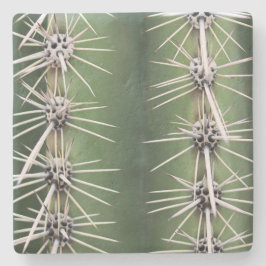 Posavasos De Piedra Macro Saguaro Cactus, Arizona, montaña de piedra c