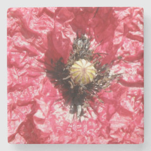 Posavasos De Piedra Macrometría de la flor de la amapola roja de bonit