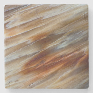 Posavasos De Piedra Madera Petrificada Desigual
