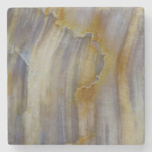 Posavasos De Piedra Madera petrificada ondulada