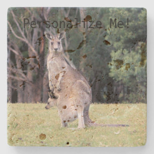 Posavasos De Piedra Madre canguro con Joey bebé en su valija