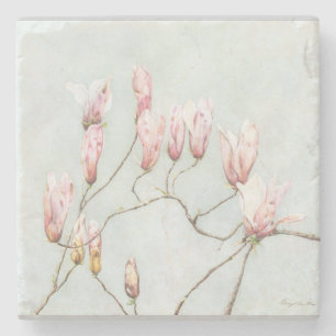 Posavasos De Piedra Magnolia Blossom