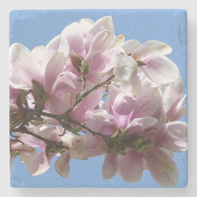 Posavasos De Piedra Magnolia Blossom (Anverso)